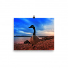 Nature (Photo paper poster)